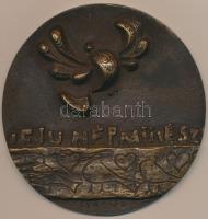 Csíkszentmihályi Róbert (1940-) 1970. "Ifjú népművész" Br plakett (86mm) T:1-