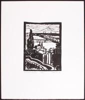 Cseh Anna Mária (1926-1999): Kilátás a Dunára. Linó, számozott, papír, jelzett, 17×12 cm