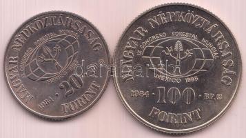 1984. 20Ft + 100Ft "FAO" pár T:BU