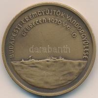 Csúcs Viktória (1934-) 1970. "Budapesti Éremgyűjtők Vándorgyűlése Debrecen" Br emlékérem (42,5mm) T:2 Adamo DE1