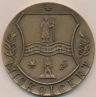 DN "Miskolcért/ Diósgyőri vár" Br emlékérem (69mm) T:1-