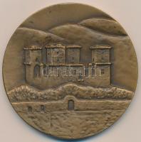DN "Miskolcért/ Diósgyőri vár" Br emlékérem (69mm) T:1-