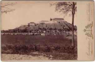1897 A munkácsi vár, keményhátú fotó, hátoldalán feliratozva, 13x11 cm