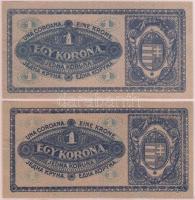 1920. 1K (2x) enyhén narancssárgás és rozsdavörös sorozat- és sorszám színvariáns T:I- hajtatlan