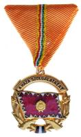 ~1960. "A Haza Szolgálatáért Érdemérem" arany fokozata mellszalagon, dísztokban T:1