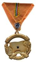 ~1960. "A Haza Szolgálatáért Érdemérem" arany fokozata mellszalagon, dísztokban T:1