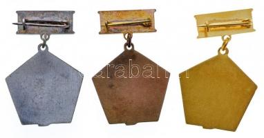 ~1960. "A Szakma Ifjú Mestere KISZ" bronz, ezüst és arany fokozatú kitüntető jelvények T:1