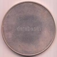 Szabó Géza (1939-) 1989. "Független Magyarország - MCMLXXXIX" Ag emlékérem tokban (36.08g/...