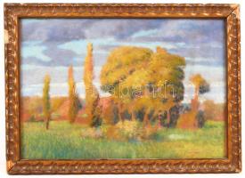 Frecskay jelzéssel: Ligetes táj. Pasztell, papír, üvegezett sérült antik keretben, 25×34 cm