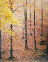 Sándor András:  Bükki nemzeti park: Kilátás a Kövekről. Bp., 1983. Mezőgazdasági kiadó