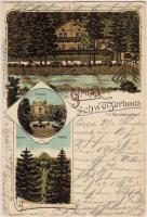 Schweizerhaus 1899 C Litho