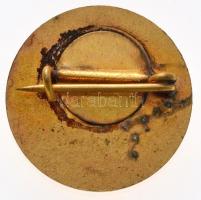 ~1960-1970. "Kiváló Népművelő" aranyozott fém jelvény T:2