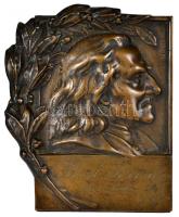 DN "Liszt Ferenc 1811-1886" Br emlékplakett támasztékkal, szign.:Droth fémöntöde Miskolc (190x157mm) T:2