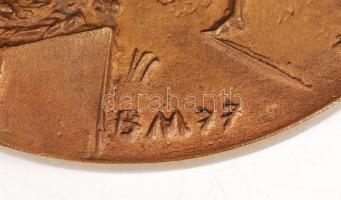 Borsos Miklós (1906-1990): Balaton Intéző Bizottság: Balatonért plakett, jelzett, d:6,5 cm