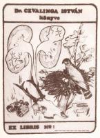 Dr. V. J. Stanek: Tierwelt um uns. Rengeteg fotóval / With many photos