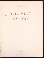 Dr. V. J. Stanek: Tierwelt um uns. Rengeteg fotóval / With many photos