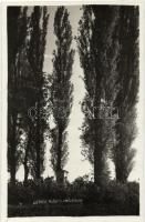 Léva, Koháry emlék / monument