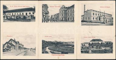 Sepsiszentgyörgy with synagogue, leporello (b)