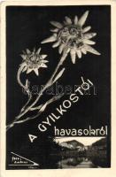 Gyilkos-tó - 4 db régi képeslap / 4 old postcards