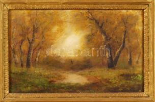 Jelzés nélkül: Tisztás. Olaj, karton, jelzett, nagyméretű fa keretben, 24×33 cm