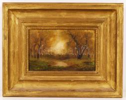 Jelzés nélkül: Tisztás. Olaj, karton, jelzett, nagyméretű fa keretben, 24×33 cm