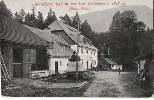 Falkenstein, Waldhaus