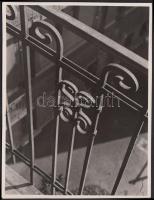 cca 1930-1935 Kinszki Imre (1901-1945): Trellis, pecséttel jelzett vintage fotó, 18x12 cm