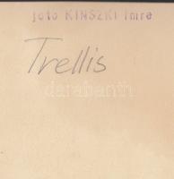 cca 1930-1935 Kinszki Imre (1901-1945): Trellis, pecséttel jelzett vintage fotó, 18x12 cm