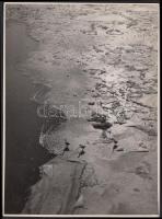 cca 1930-1935 Kinszki Imre (1901-1945): Libák élete, pecséttel jelzett, feliratozott vintage fotó, 17x12 cm