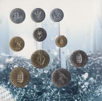 1996. 10f-100Ft "50 éves a forint" 10klf darabos forgalmi sor dísztokban T:BU