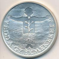 1989. 500Ft Ag "Védd a gyermeket" T:BU