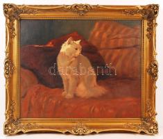 Heyer Artúr (1872-1931): Cica az ágyon. Olaj, vászon, jelzett, sérült antik keretben, 55×70 cm