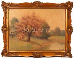 Mindszenthy jelzéssel: Virágzó fák. Olaj, vászon, sérült antik keretben, 60×80 cm