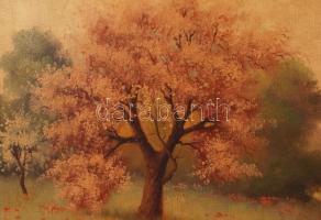 Mindszenthy jelzéssel: Virágzó fák. Olaj, vászon, sérült antik keretben, 60×80 cm