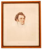 cca 1930 H. Varges: Franz Schubert. Színezett ofszet papír, üvegezett keretben, 16×14 cm