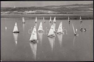 1975 Vitorlás verseny a Velencei-tavon, 12x18 cm