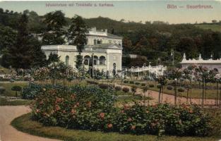 Bílina, Sauernbrunn, Kurhaus, spa