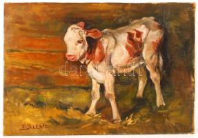 Illés jelzéssel: Boci. Olaj, fa lemez, 32×47 cm