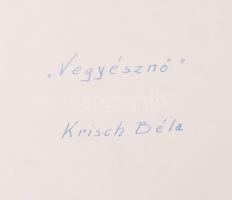 cca 1950 Krisch Béla: Vegyésznő, feliratozott fénykép, 32x25