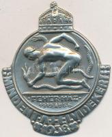 1938. "Mindent a Felvidékért - Fehér-Ház 1919. Aug. 6" irredenta alumínium felvarró (53x45mm) T:1-