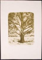 Németi Judit (1954-): Magányos fa. Rézkarc, papír, jelzett, 27×21 cm