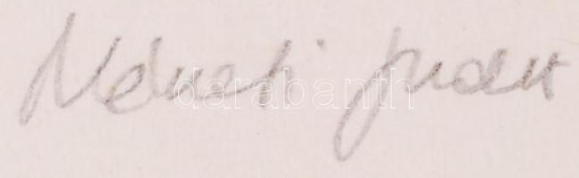 Németi Judit (1954-): Magányos fa. Rézkarc, papír, jelzett, 27×21 cm