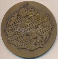 1980. "Magyar Távirati Iroda 1880-1980" Br emlékérem (69mm) T:2