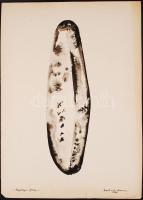 Balikó Ferenc: Magányos forma. Akvarell, papír, jelzett, apró szakadással, 50×35 cm