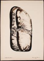 Balikó Ferenc: Kettőzött forma. Akvarell, papír, jelzett, 50×35 cm