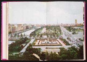 Réti Ervin: Japán a kakas évében. Bp., 1971, Gondolat. Félvászon kötés, képekkel illusztrált, gerinc...