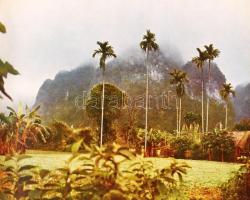 Patkó Imre-Rév Miklós: Vietnam. Bp., 1960, Képzőművészeti Alap Kiadóvállalata. Kiadói egészvászon kö...