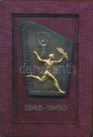 Vincze Dénes (1924-1972) 1960. "Felszabadulásunk 15. évfordulójára" aranyozott Br lemezérem plexi talpon dísztokban (110x67mm) T:2