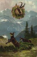 2 db RÉGI állat, vadász motívumú képeslap, M.K.B. T.S.N. S. 739. / 2 old motive cards, animal, hunte...