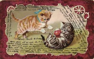 5 db RÉGI macska motívumú litho képeslap / 5 old motive cards, cats